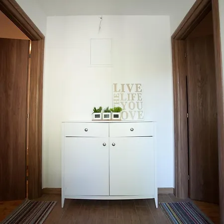 招待所 And Marino