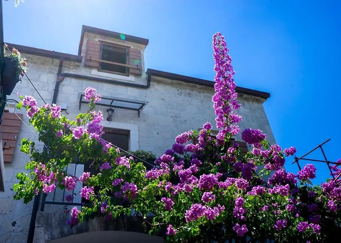 And Marino Trogir