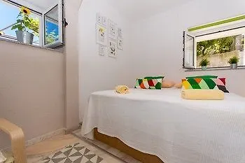 And Marino تروغير